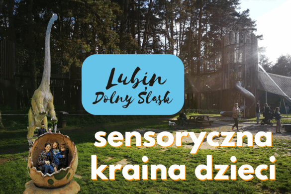 Lubin na Dolnym Śląsku plac zabaw park linowy zoo dinozaury